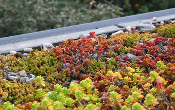 the cost of Rackenford green roof installation