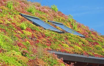Rackenford living roof systems